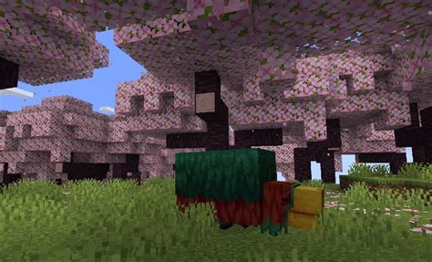 Cherry Blossom Seed Minecraft Biome - Rhoda Ekaterina