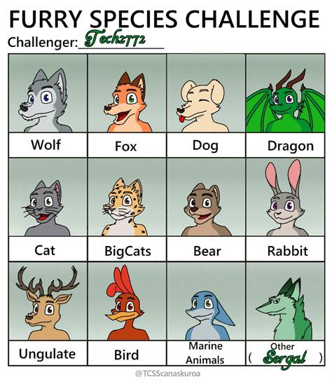 Furry Species Challenge by Tech2772 on DeviantArt