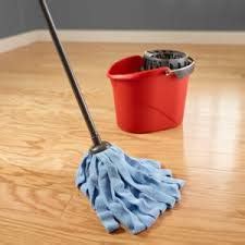 hardwood floor mop - The Popular Home