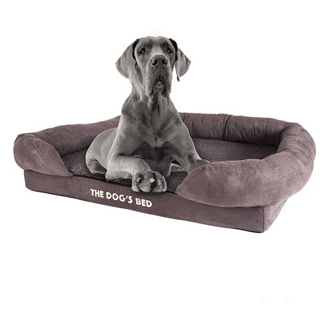 Best Bolster Dog Beds - Updated June 2024