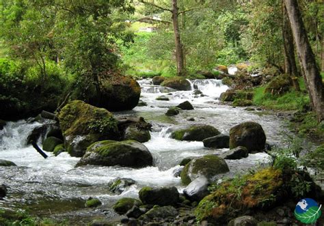 San Gerardo de Dota a cloud forest in Los Santos, Costa Rica