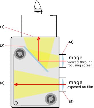 Dhphoto: Recesky DIY TLR Camera vs Gakkenflex vs Blackbird Fly