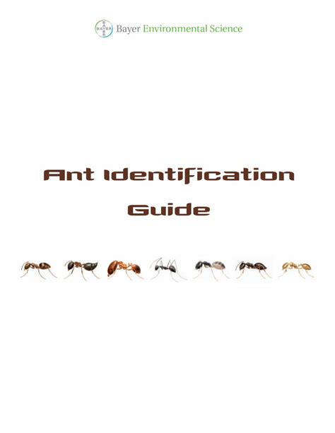 (PDF) Ant Identification Guide - DOKUMEN.TIPS