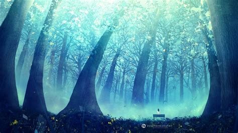 🔥 [23+] Anime Forest Wallpapers | WallpaperSafari