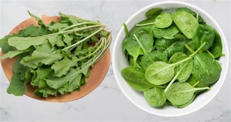 Arugula vs Spinach: Which is Better? A Complete Comparison