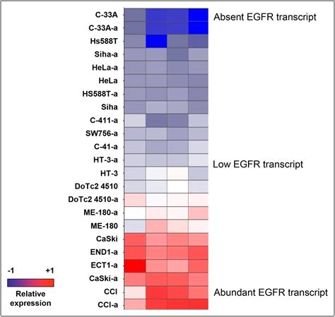 Correlating EGFR Expression with Receptor-Binding Properties and ...