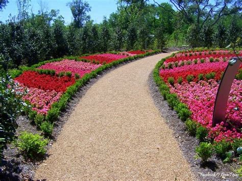 Shangri La Botanical Gardens, Orange, Texas - from I Love Texas ...