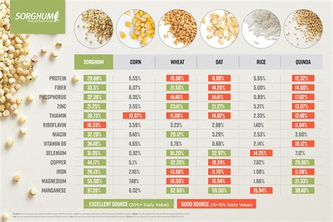 Nutrition - Sorghum Checkoff