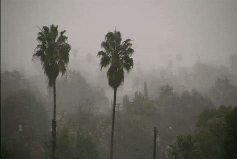 Foggy GIFs - Find & Share on GIPHY