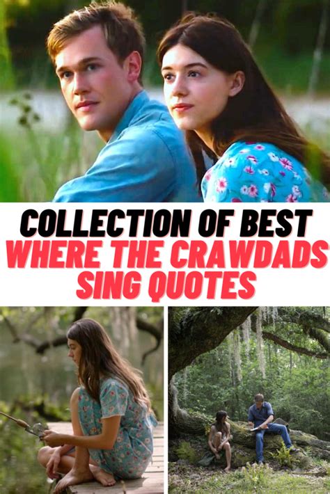 85+ Best WHERE THE CRAWDADS SING Movie Quotes