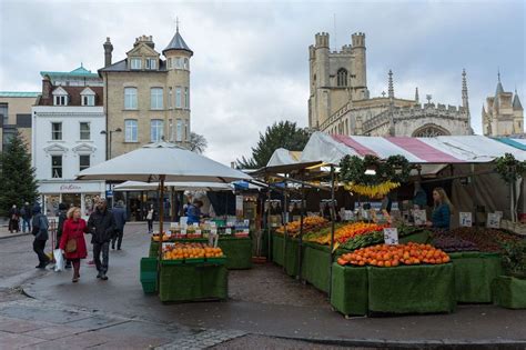 Cambridge public to have say about future of city's open spaces