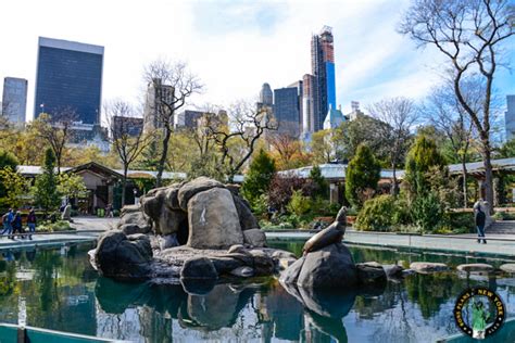 Visit the Central Park Zoo in New York