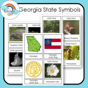 Georgia State Symbols by Rainbow Girl | TPT