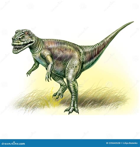 Megalosaurus, Dinosaur of the Jurassic Period Stock Illustration ...