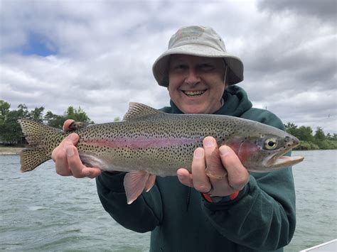 Sacramento River Wild Rainbow Trout Fishing — Jeff Goodwin Fishing