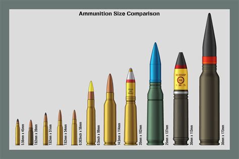 Ammunition Size Comparison | Armas táticas, Munições, Armas