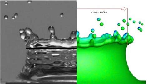 Crown Formation from the Experimental Study by Cossali et al. 76 (left ...