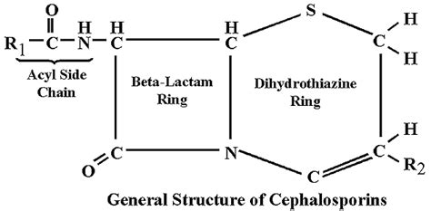 BSCI 424 Pathogenic Microbiology -- Beta-Lactam Antibiotics