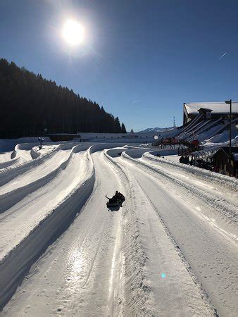 Tobogganing Park (Leysin) - 2019 All You Need to Know BEFORE You Go ...