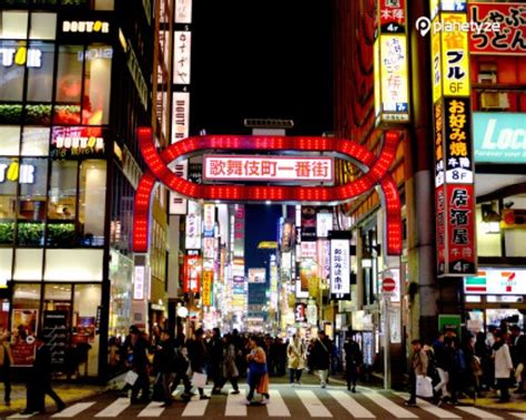 Tokyo Neon Lights: 5 Best Spots to See Tokyo at Night | GoWithGuide