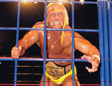 Hulk hogan jail racist – BlackSportsOnline