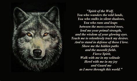 20+ Lone Wolf Quote Wallpapers ... | Lone wolf quotes, Wolf photos ...