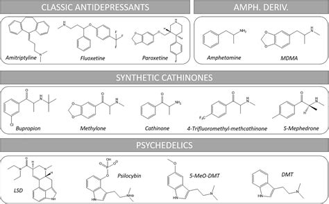 Frontiers | 3,4-Methylenedioxy methamphetamine, synthetic cathinones ...