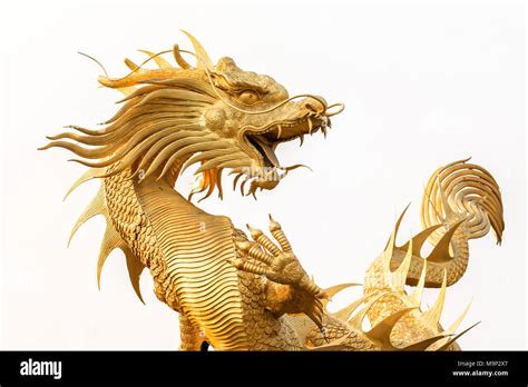 Golden dragon statue on white background Stock Photo - Alamy