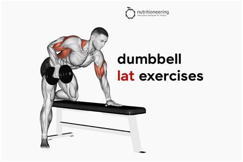 Printable Dumbbell Back Exercises