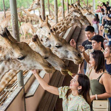 Safari World Bangkok Ticket | bajet2cuti