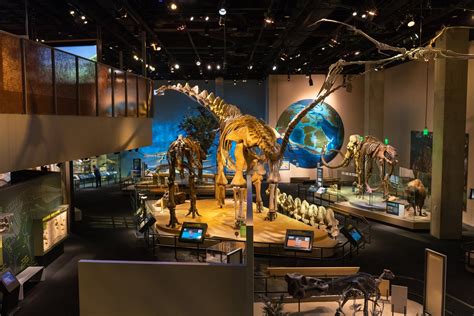 Perot Museum of Nature and Science Reviews | U.S. News Travel