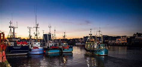 Gallery - Bridlington Harbour