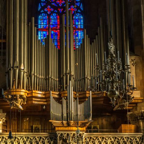 Vienna St. Stephen’s Cathedral – with Konstantin Reymaier ...