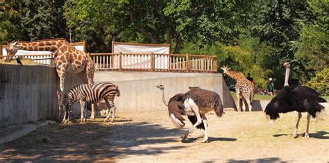 Zoos and Aquariums | LAJewishGuide.com – Your #1 Guide to Jewish Los ...