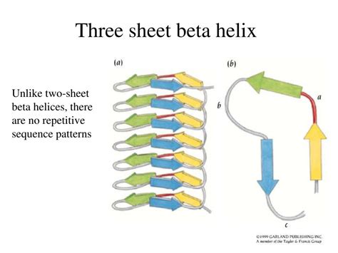 PPT - Beta structures PowerPoint Presentation, free download - ID:403567