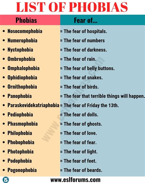 Types Of Phobias List