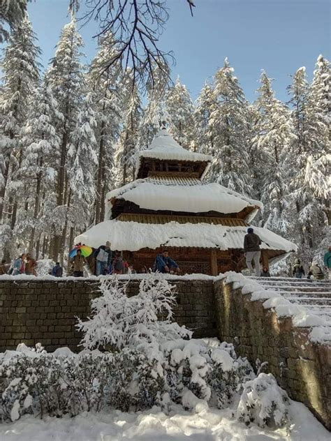 Hadimba temple in Manali with heavy snow ️ ️ in 2024 | Beautiful nature ...