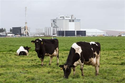 New Study Shows the Major Environmental Impact of Meat Production ...