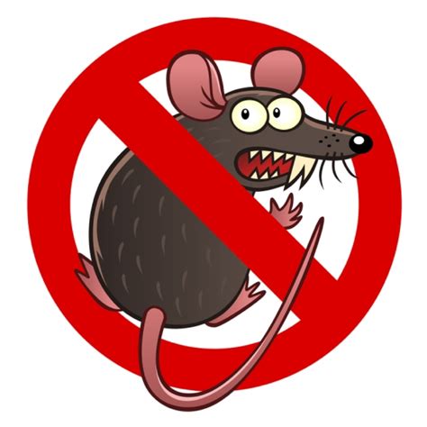 Questions to Ask Your Mouse Exterminator - Mice Mob Exterminators