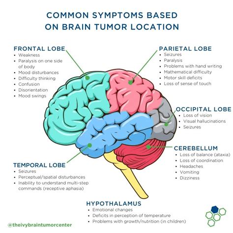 Brain Tumor Patient and Caregiver Guide