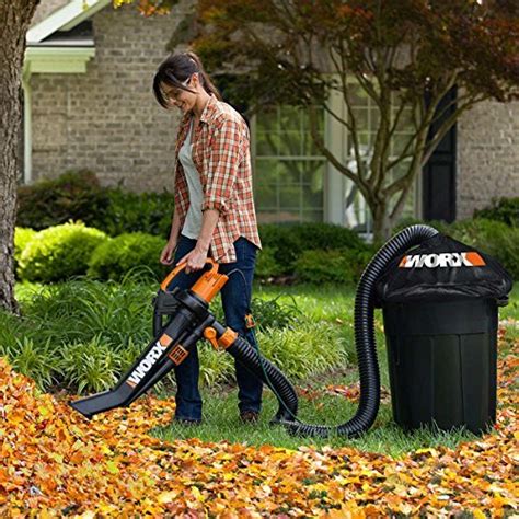 Top 10 Best Walk Behind Leaf Vacuum (2024 Tests & Reviews) - Best ...