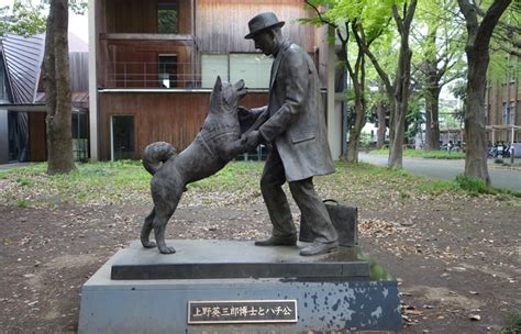 Aloha Tokyo! Visiting Hachiko and the 47 ronin