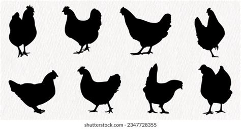 837 Chicken Flock Cartoon Royalty-Free Photos and Stock Images ...