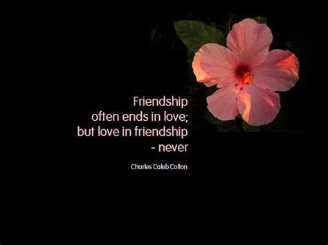 Friends & Friendship | Nice Quotes