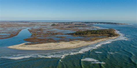 Beach Camping Tybee Island 16+ | IDN Camping