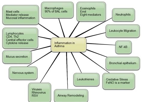 AllergyCases.org: Mind Maps: Asthma