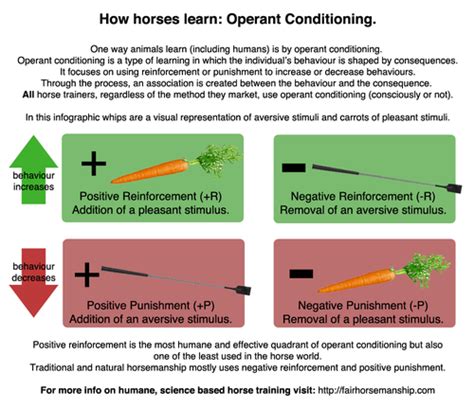 WHAT IS AVERSIVE TRAINING? And why you should stop using it ...