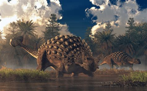 Ankylosaurus - Animal Corner