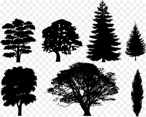 Free Tree Silhouette Svg, Download Free Tree Silhouette Svg png images ...