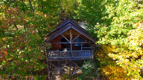 Treehouse Cabins, the best decision you'll make all year!